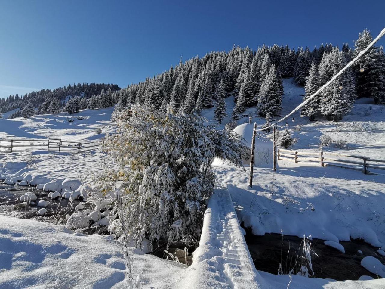 Mine Hostel Dzhergalan Jyrgalan ภายนอก รูปภาพ