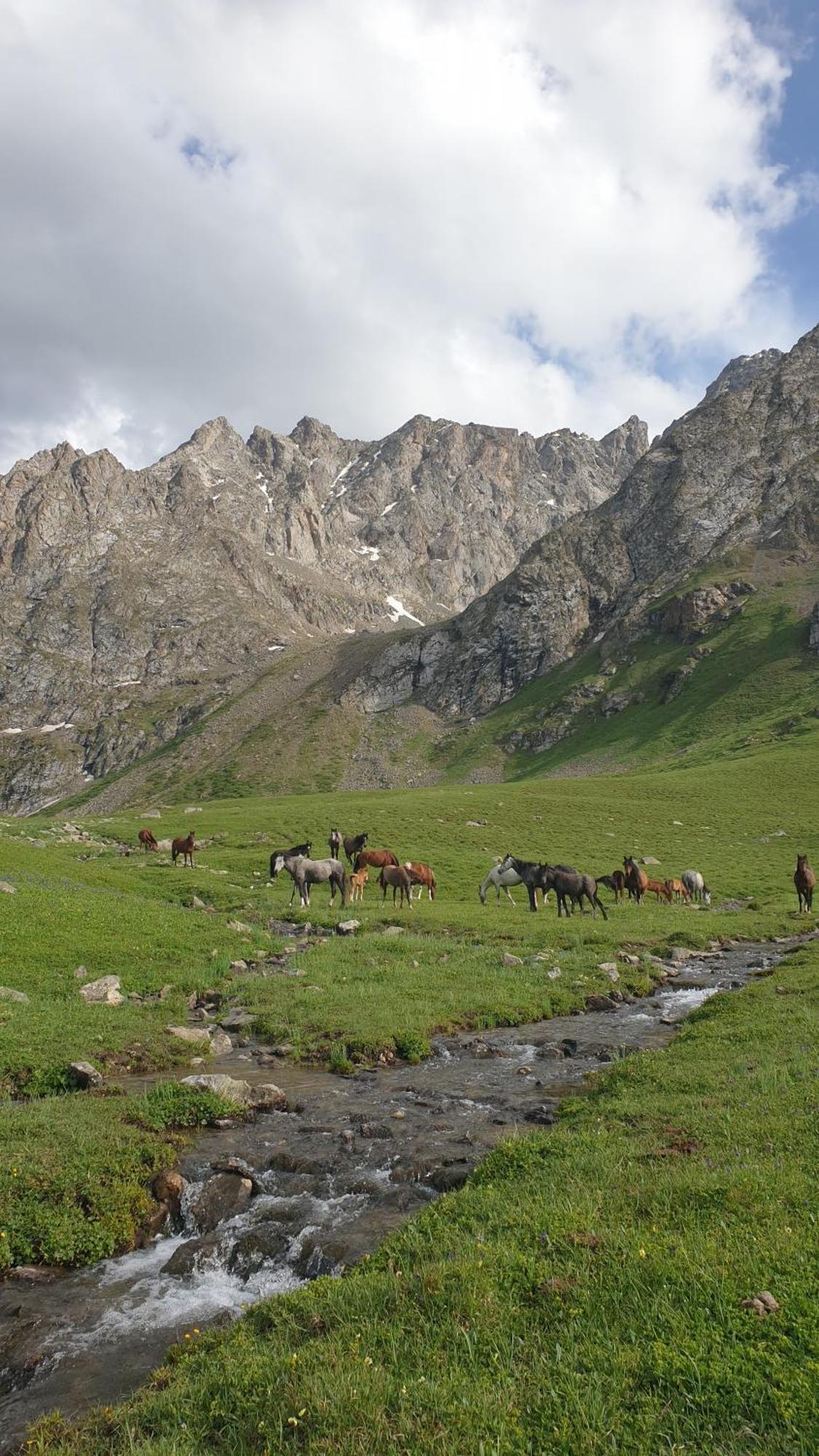 Mine Hostel Dzhergalan Jyrgalan ภายนอก รูปภาพ